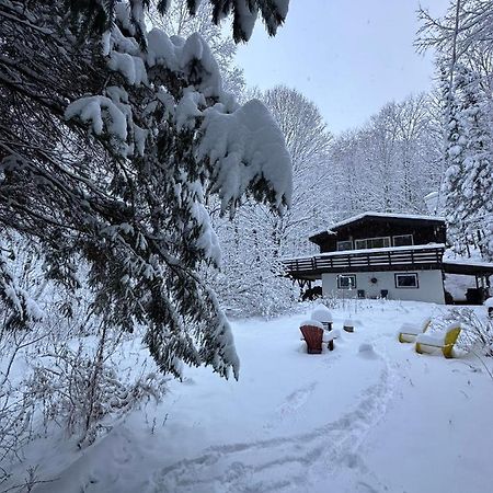 Chalet Dans Les Arbres. 3 Ch. /Trees House 3Bdr Lac Sainte-Marie Kültér fotó