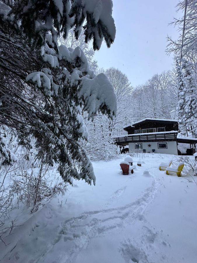 Chalet Dans Les Arbres. 3 Ch. /Trees House 3Bdr Lac Sainte-Marie Kültér fotó